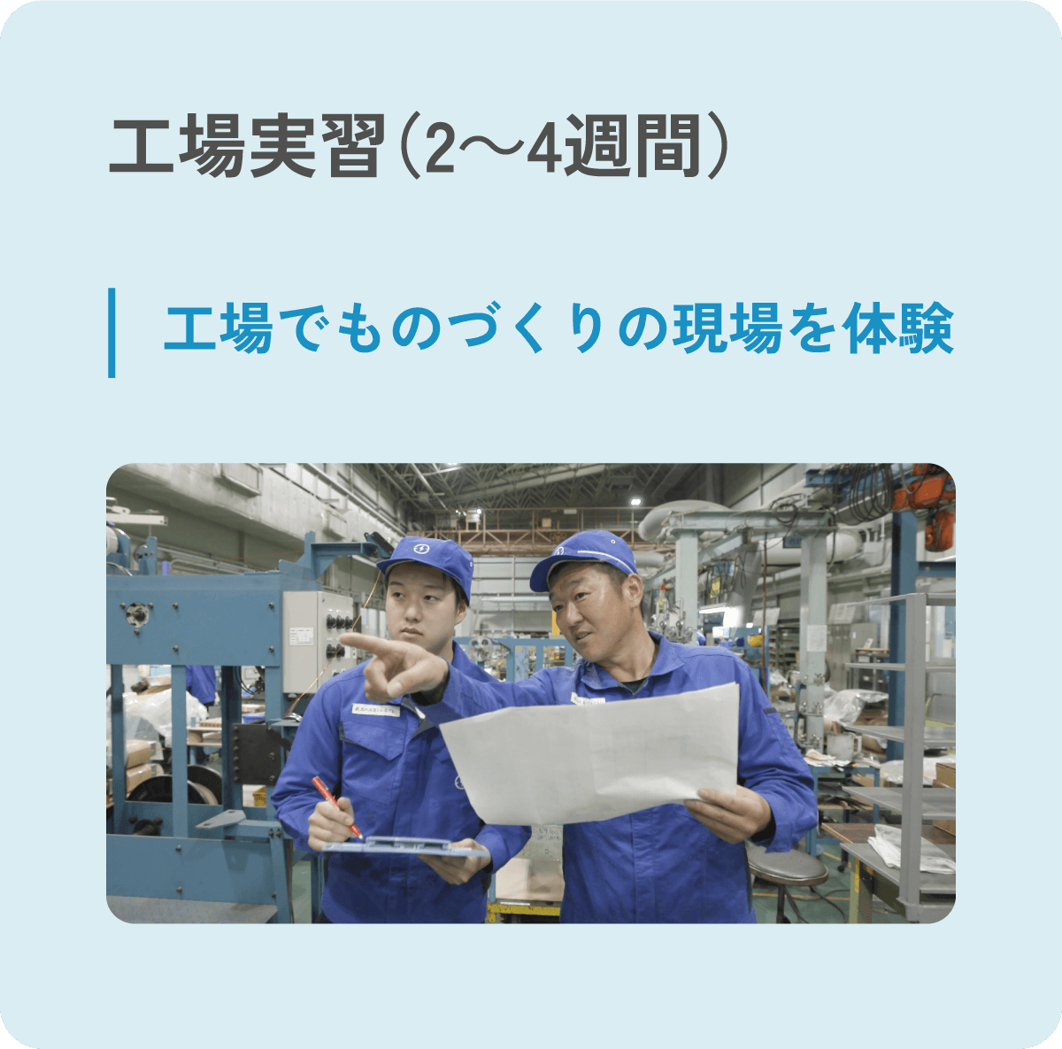 工場実習（2～4週間）